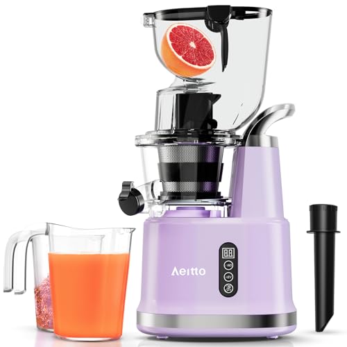 Aeitto Portable Masticating Nutrient Vegetables